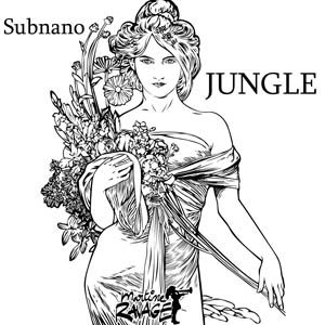 Life Goes On Anyway artwork